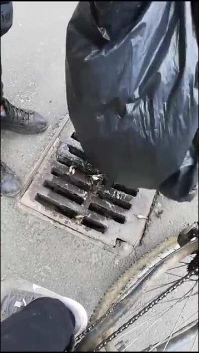 Si uite asa o sa poti sa pescuiesti un somn mare de 100 kg in Bucuresti