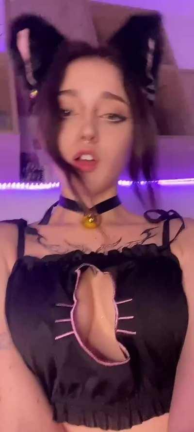 This kitty needs your milk