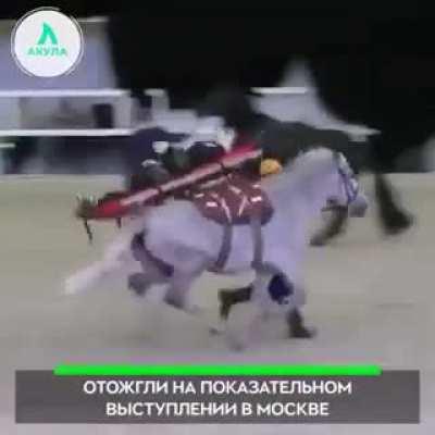 Why horses aren't ambulances