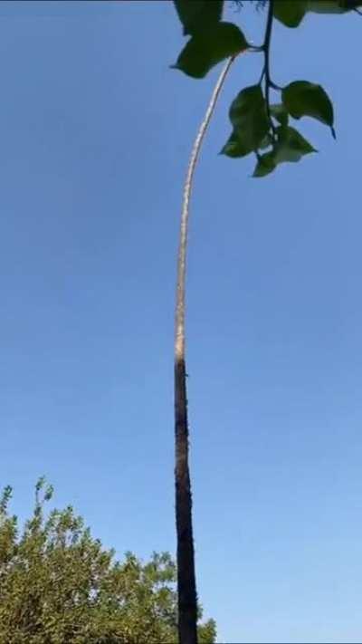 There's gotta be a better way