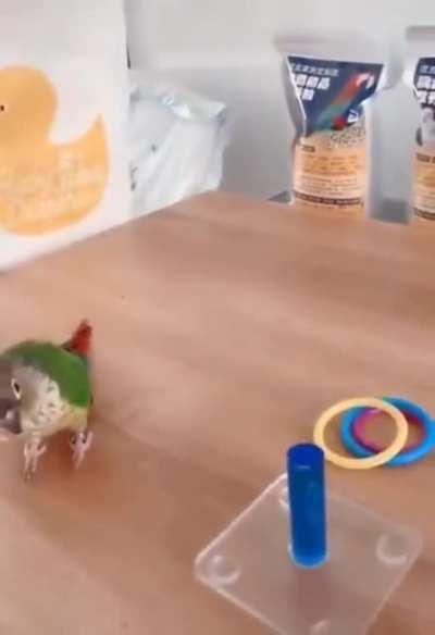 No obstacle is too big to overcome