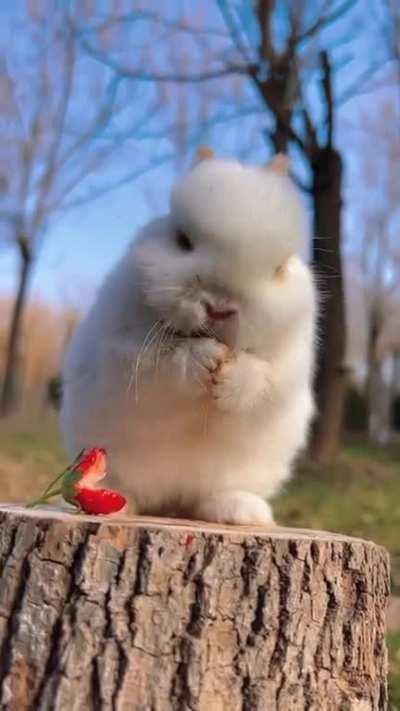 cuteeeð¥ºâ¥ï¸â¥ï¸â¥ï¸ð°ð°ð
