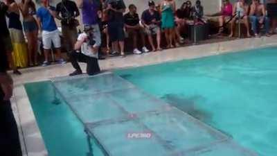 HMC while I act like everything’s planned