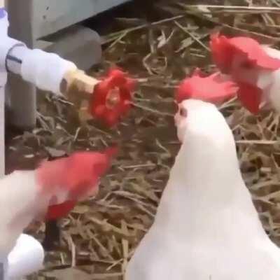 there is one impostor among us