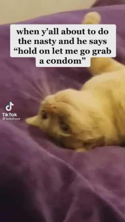 Day 24: Unfortunately, a girl in my Bible study group sent this explicit content to me, I did the only right thing and reported her to the priest we are taught under. She is now strapped to a table screaming for Jesus as an exorcist removes whatever succu