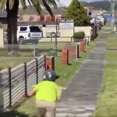 Now entering Australia Iconoclasm Savage