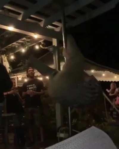 HMB while I do pole dance.