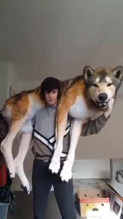 This life sized wolf plush
