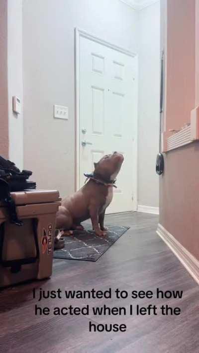 The suffering of a Lonely soul 