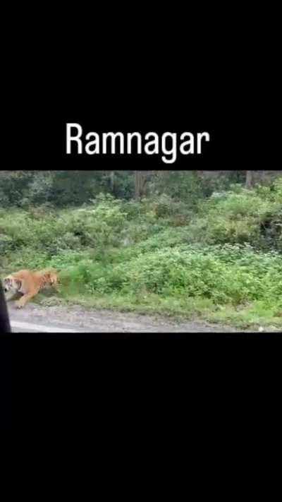 Bhaiya chalo chalo..chalo chalo!