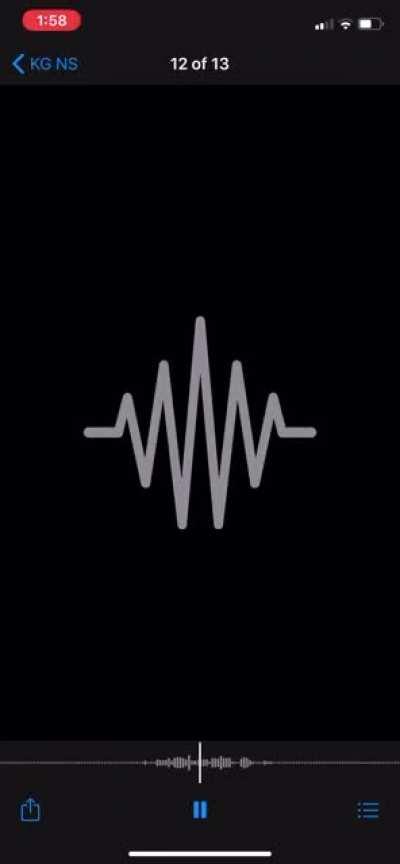 New Slaves Frank Vocals