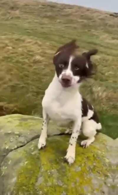 It’s hecking windy