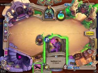 Hearthstone is a fun and interactive game.