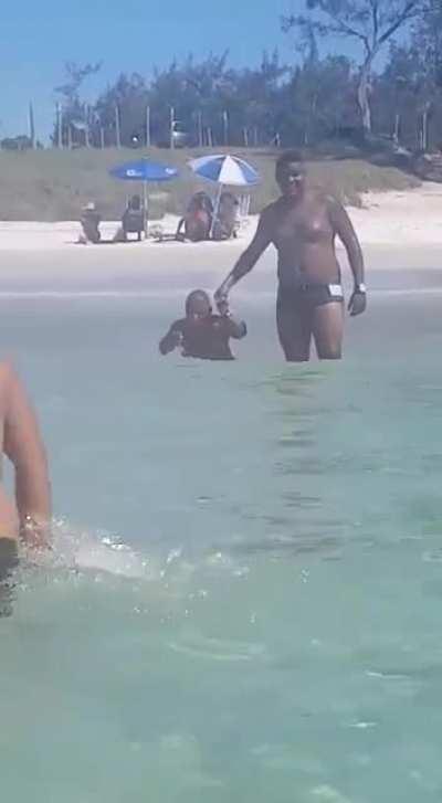 I o la o tamanduá hihihi