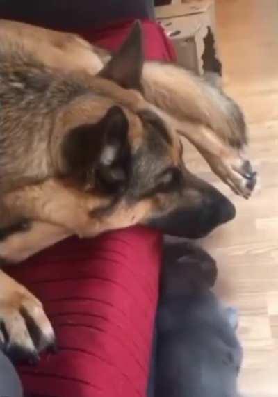 Cats. Cats never change.