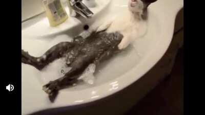 El pana Santiago dándose un bañito