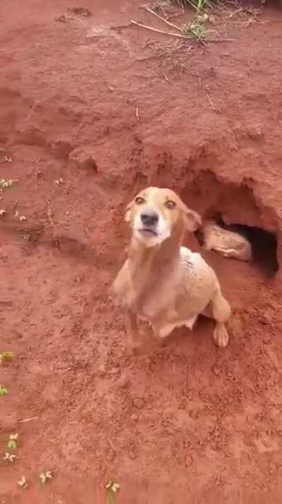 Um pouco de positividade dentro desse caos chamado Brasil