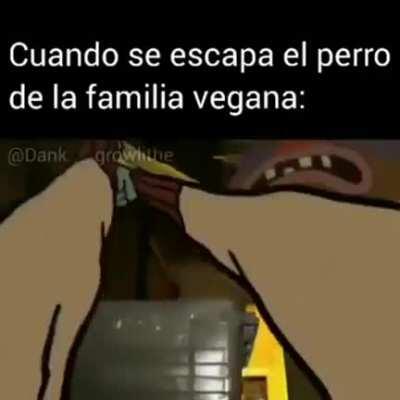 Como mierda lo haces vegano eri weon