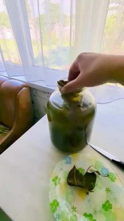 Hi Reddit! Yesterday I made a short post about cooking traditional Ukrainian food. Here is its continuation. Our older generations used to cook cucumbers according to this recipe. The region where I live is famous for this dish (Nizunsky ogirku)