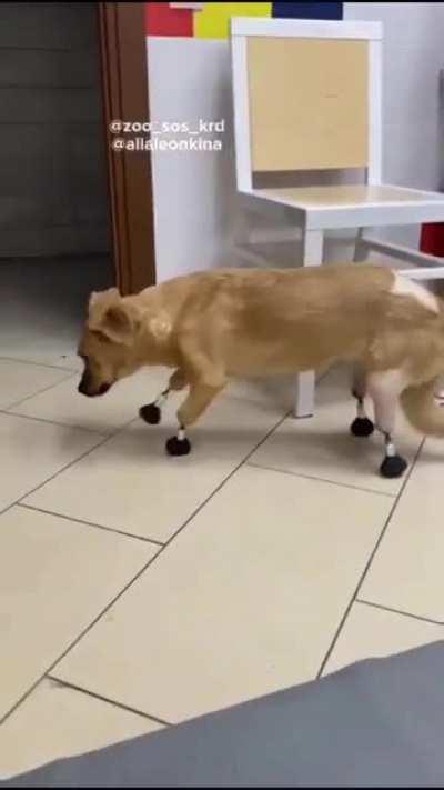 #мишанявставай