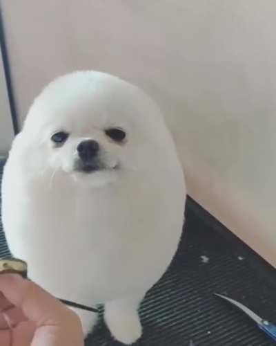 His smile at the end put one on my face, as well.