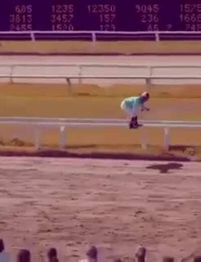 Horse racing without the horses