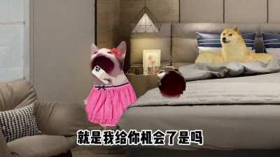 基础建设之织女没有一个无辜的