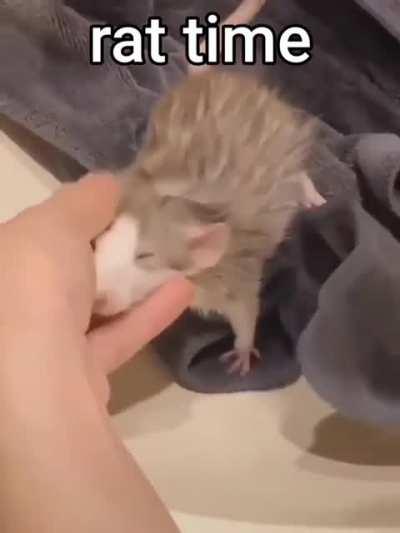 here's a message i think u guys can get behind