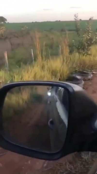 Eduardo, the unpassable road guardian and bane of other Eduardos