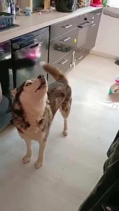 You no talk. Me talk