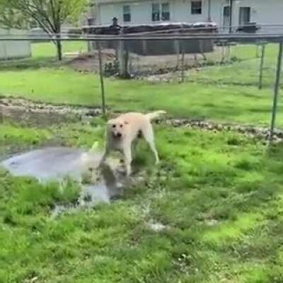 The water seems to have a strange effect on him....
