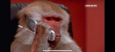 Godzilla on the Phone with King Kong source:  