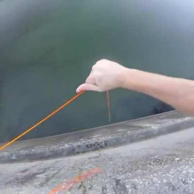 Bowfishing from a dam