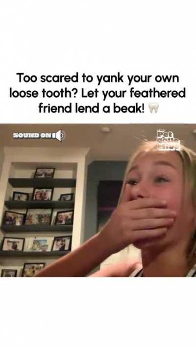 This still looks more fun than going to the dentist! 🦷🦜CT@Ann B