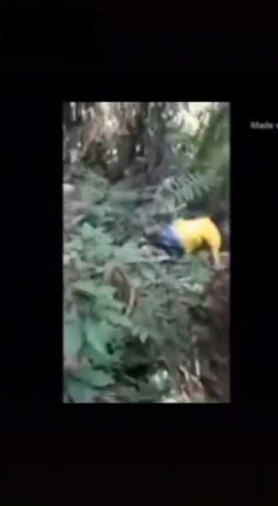 Meu deus do céu 🌴