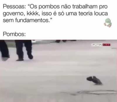 POMBOS ESTÃO DISCRETAMENTE NOS OBSERVANDO (RENAN CAGA DE MEDO)