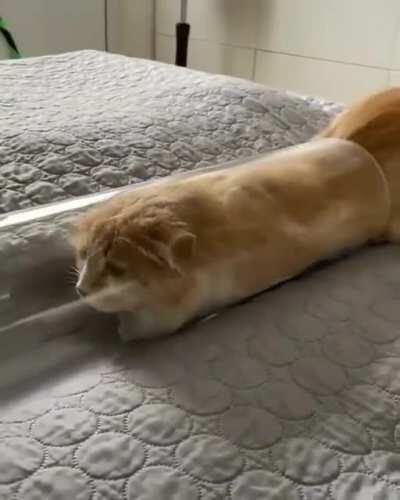 Trying to do james bond stunt