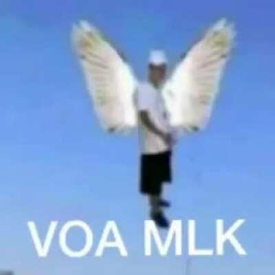 VOA MLK