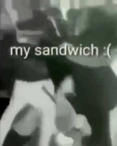Sandwich 🗿🗿