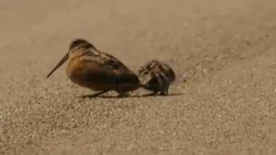 If Dan could only see his kids on weekends, he was going to make sure they had a blast the whole time.