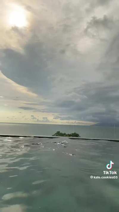 r/kalecookiesof Lounge