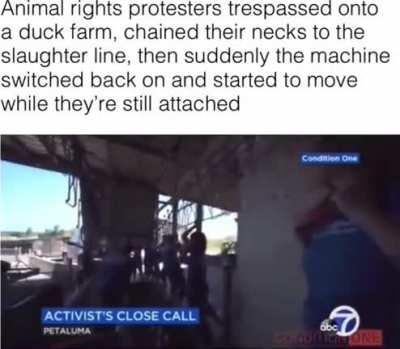 Let's chain ourselves to dangerous machinery