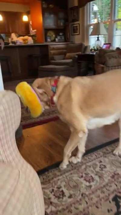 My 8year old girl whenever we get home