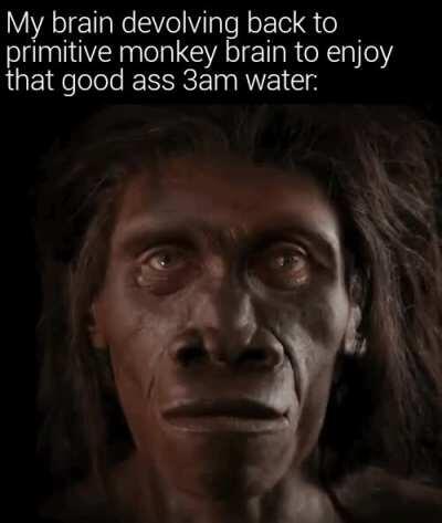 Posting a meme for every day of 2020 Day 345