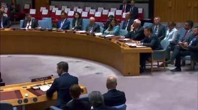 At the UN, Polish Foreign Minister Radek Sikorski delivers a stunning takedown of russia's lies and its kidnapping of Ukrainian children