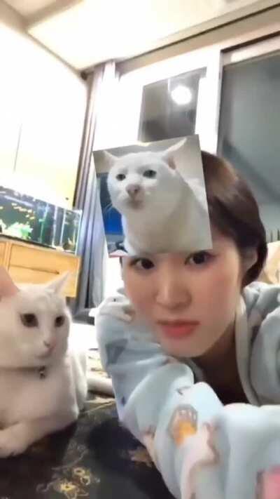 Messing with the cat....