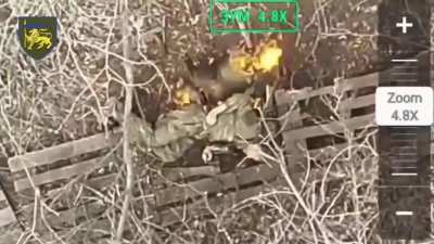 60th mechanized Brigade Eliminating multiple Russians in Terny Donetsk