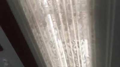 Found a familiar tune that our doorbell could play...