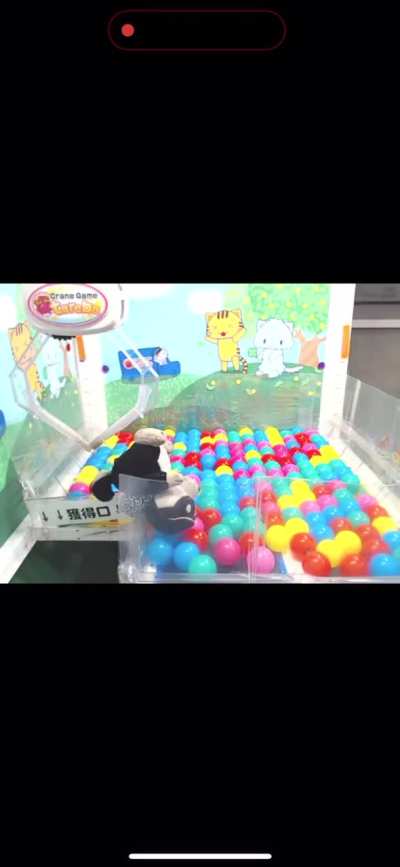 Pretty happy with this win