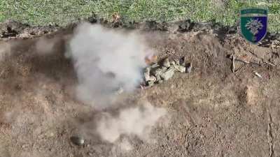 38th Marine Brigade Drone Drop on Russian Soldier and baby ducks waddling by. Pokrovsk Direction